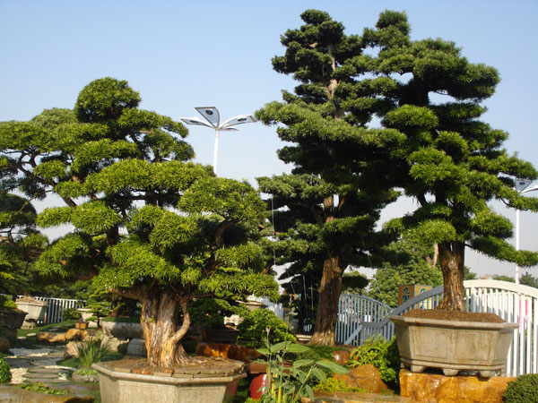 别墅屋顶花园景观灯维护攻略：延长寿命的日常保养方法
